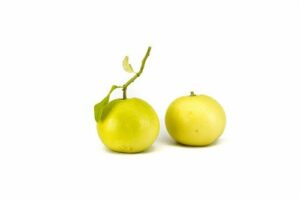 Pompelmo Giallo Biologico