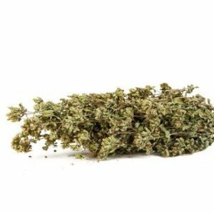 Origano fresco (50 gr.)
