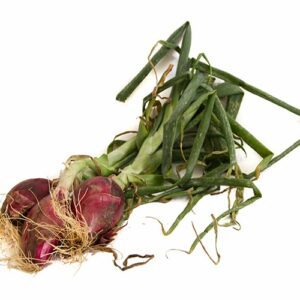 Cipolla Rossa Tonda 1 kg