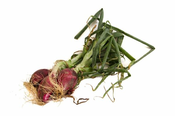 Cipolla Rossa Tonda 1 kg