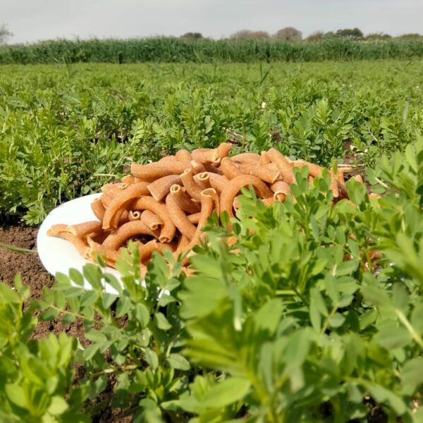 Pasta di Lenticchie di Modica - immagine 2