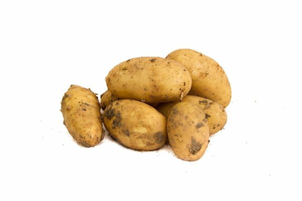 Patate
