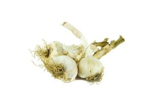 Aglio (250 gr.)