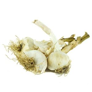 Aglio (250 gr.)