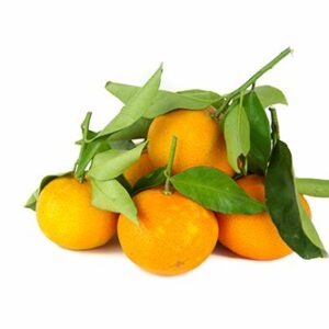 Clementine Nova – 1 Kg. (senza semi)