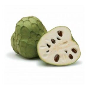 Annona Cherimola (KG)