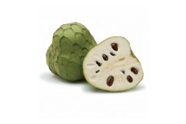 Annona Cherimola (KG)