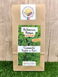 Artemisia Annua, foglie e fiori essiccati