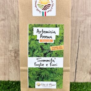 Artemisia Annua, foglie e fiori essiccati