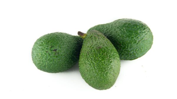 Avocado Hass Bio