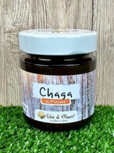 Chaga, fungo in polvere