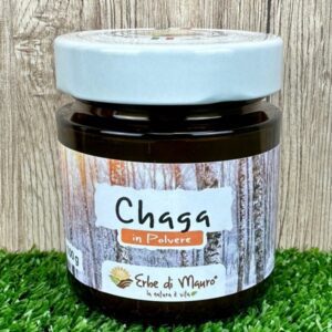 Chaga, fungo in polvere