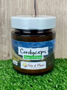 Cordyceps sinensis, fungo in polvere