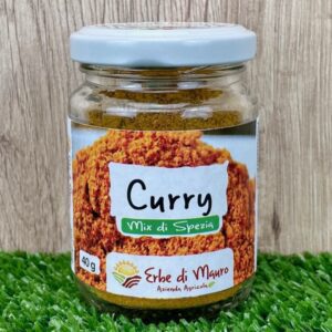 Curry indiano in polvere, spezia 40g