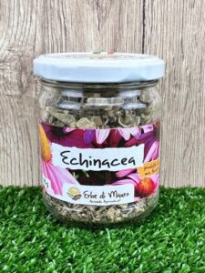 Echinacea Pallida radice essiccata, 70g, 500g, 1kg