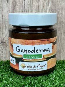 Ganoderma Lucidum Reishi, fungo in polvere
