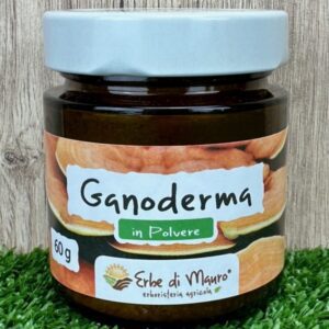 Ganoderma Lucidum Reishi, fungo in polvere