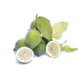 Limoni Primofiore verde (KG)