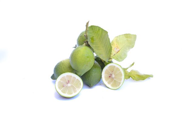 Limoni Primofiore verde (KG)