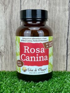 Rosa Canina integratore alimentare in capsule
