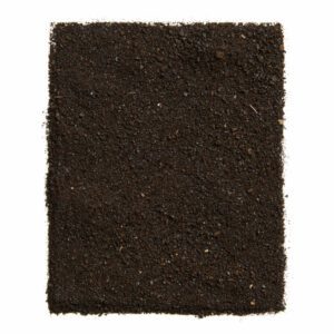 Polvere “Nero&Bio”