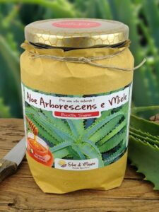 Aloe Arborescens e miele, versione Super di Padre Zago
