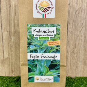 Kalanchoe Daigremontiana, foglie essiccate 50g