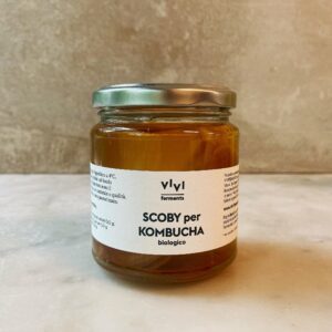 SCOBY PER KOMBUCHA biologico