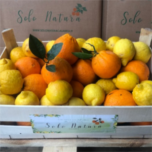 Cassa MISTA- 7 Kg Arance + 3 Kg Limoni