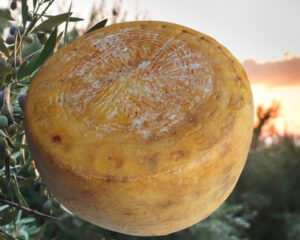 Pecorino Monte Poro