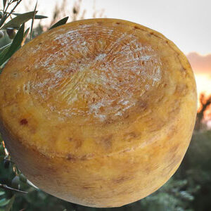 Pecorino Monte Poro